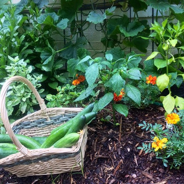 Garden Viewpoints
