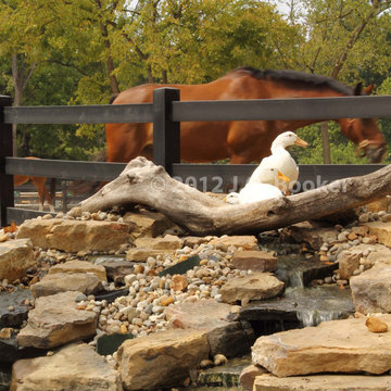 Custom Arena & Horse Stables