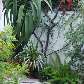 My Houzz: Early-California Style for a 1920s Home and Garden