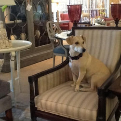 Showrooms - Furniture
