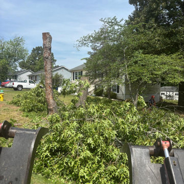 Tree Removal, Land Clearing & Site Preparation Project