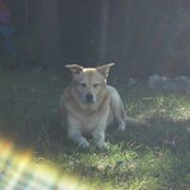Janice B Riddell's photo