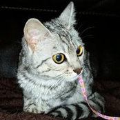 Amy Stansak's photo