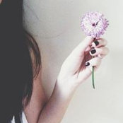 Shin Wey's photo