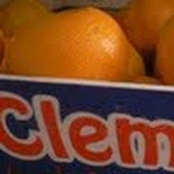 Foto von Clementia Mok