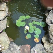 Bev Campbell's photo