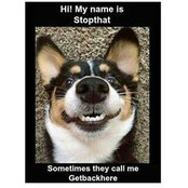 Kathi Higgins's photo
