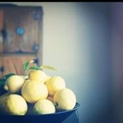 kate coffie's photo