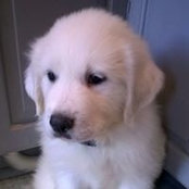 Michelle Schneider's photo