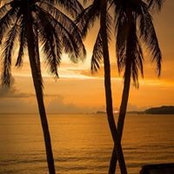 Susana LS's photo
