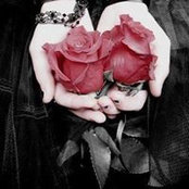 HouHou Mohammed's photo