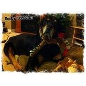 Shannon Simpson's photo