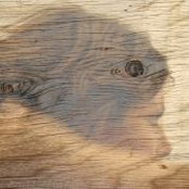 Tanya Solomitchi's photo