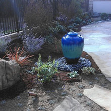 Landscape Ideas