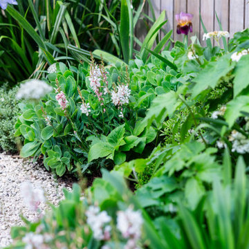 Medium Contemporary City Garden