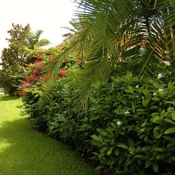 Fertilizer/Pest Control