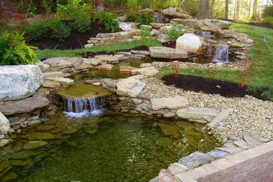 Photo of a traditional landscaping in Other.