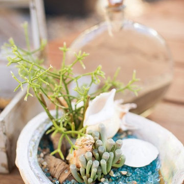 Miniature Garden Designs, San Diego