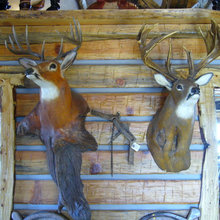 Deer