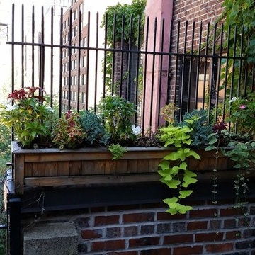 Rooftop garden specialists NYC