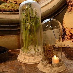 ELEGANT GLASS CLOCHE WITH ANTIQUE WHITE BASE, SET OF 2 - Products