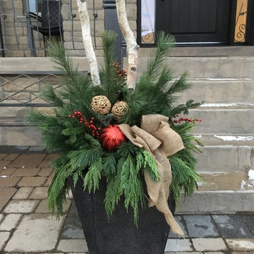 Assorted Outdoor Christmas Arrangements