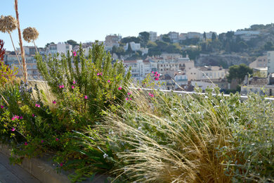 Design ideas for a mediterranean garden in Marseille.