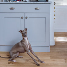Grey Cabinets