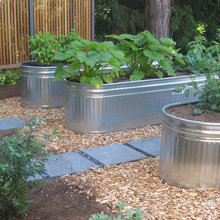 raised bed garden