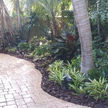 Tropical Paradise - Backyard Makeover