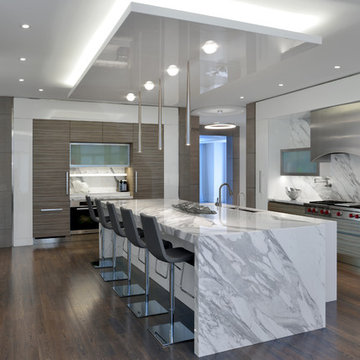 Contemporary Kitchen II