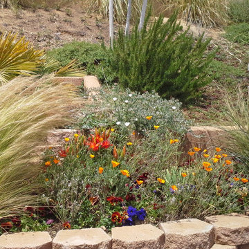 Xerigardens