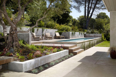 Pool landscaping - large contemporary backyard concrete and rectangular aboveground pool landscaping idea in Los Angeles