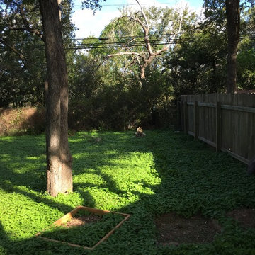 South Austin Backyard Social Club