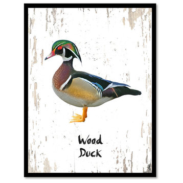 Wood Duck Bird Canvas Print, 28"x37"