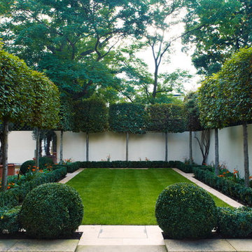 Contemporary Garden