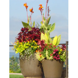 Designer Planters for sale - Outdoor Pots And Planters