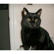 Tammy Doyle's photo