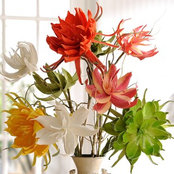 Kathy Harris's photo