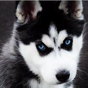 Stephanie Lansfield's photo