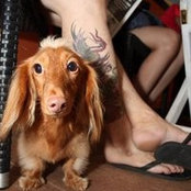 Edwin Tan's photo