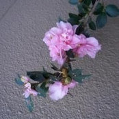 Beth Markley's photo