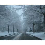 Debi Hunter's photo