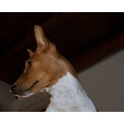 Henriette H. Meijer's photo