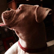 Foto de Heather Cagg

