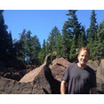 jeff timm landscape construction's profile photo