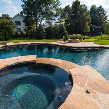 Freeform Pool in Libertyville, IL