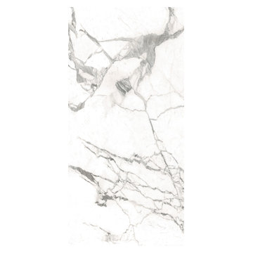 Porcelain Color: Bianco Statuario