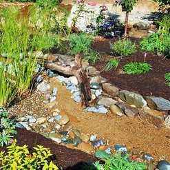 Rain Garden Nursery Landscapemakeoverdesignstaging Rain Garden Nursery Landscapemakeoverdesignstaging