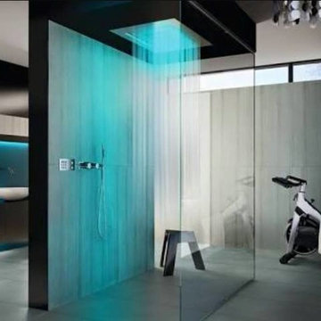 Frameless Showerscreens